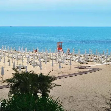 Premium Complex Millennium 2 - Family &